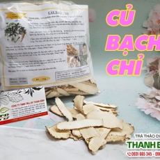 Cách sử dụng củ bạch chỉ trong hỗ trợ ức chế trực khuẩn, thương hàn và vi khuẩn G+ tốt nhất