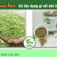 Cách sử dụng hoa hòe trong hỗ trợ trị xuất huyết cấp tính do viêm thận hiệu quả tốt nhất