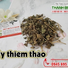 Cách sử dụng hy thiêm thảo trong hỗ trợ trị bệnh gout hiệu quả tốt nhất
