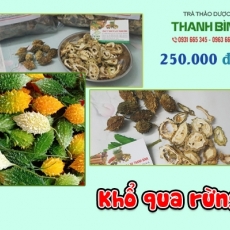 Cách sử dụng khổ qua rừng trong hỗ trợ trị gout hiệu quả tốt nhất