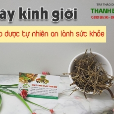 Cách sử dụng kinh giới trong hỗ trợ làm đẹp da hiệu quả tốt nhất