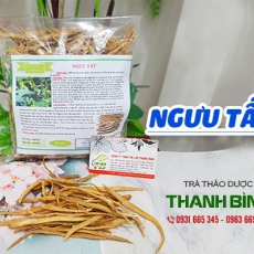 Cách sử dụng ngưu tất giúp giảm cholesterol trong máu