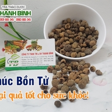 Cách sử dụng phúc bồn tử trong hỗ trợ làm đen tóc hiệu quả tốt nhất