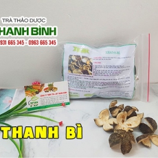 Cách sử dụng thanh bì chữa đau tức ngực, hạ sườn