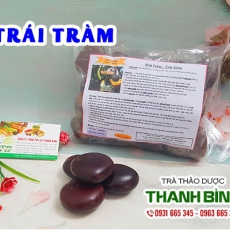 Cách sử dụng trái tràm trong điều trị kinh nguyệt không đều an toàn hiệu quả