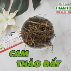 Cam thảo đất - Dược liệu có công dụng lợi tiểu hiệu quả tại Quận 9