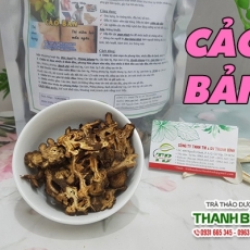 Mua bán cảo bản tại quận 11 giúp trị cảm mạo do phong hàn an toàn hiệu quả