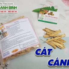 Cát cánh [Hình ảnh, công dụng, cách dùng] Mua ở đâu giá tốt?