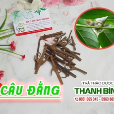 Câu đằng [Hình ảnh, công dụng, cách dùng] Mua ở đâu chất lượng tốt nhất?