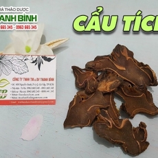 Cẩu tích [Hình ảnh, công dụng, cách dùng] Mua ở đâu chất lượng tốt nhất???