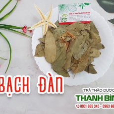 Lá bạch đàn [Hình ảnh, công dụng, cách dùng] Mua ở đâu chất lượng tốt nhất?