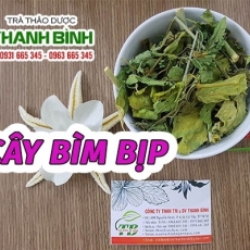 Cây bìm bịp [Hình ảnh, công dụng, cách dùng] Mua ở đâu chất lượng tốt nhất???