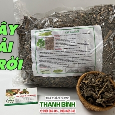 Cây cải trời [Hình ảnh, công dụng, cách dùng] Mua ở đâu chất lượng tốt nhất???