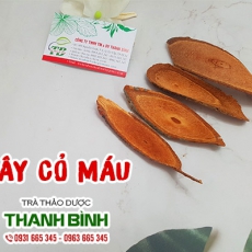 Cây cỏ máu [Hình ảnh, công dụng, cách dùng] Mua ở đâu chất lượng tốt nhất???