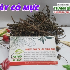 Mua bán cây cỏ mực tại quận 4 giúp trị chảy máu cam uy tín nhất