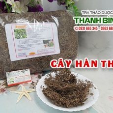 Mua bán cây hàn the tại TP.HCM uy tín chất lượng tốt nhất