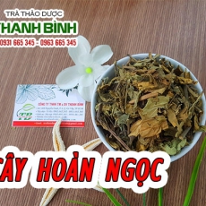 Cây hoàn ngọc [Hình ảnh, công dụng, cách dùng] Mua ở đâu chất lượng tốt nhất?