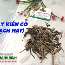 Cây kiến cò (bạch hạc) [Hình ảnh, công dụng, cách dùng] Mua ở đâu chất lượng tốt nhất???