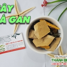 Cây lá gan [Hình ảnh, công dụng, cách dùng] Mua ở đâu chất lượng tốt nhất???