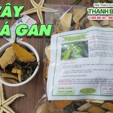 Cây lá gan [Hình ảnh, công dụng, cách dùng] Mua ở đâu chất lượng tốt nhất???