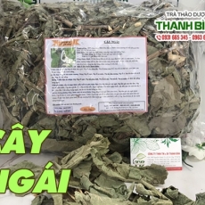 Mua bán cây ngái ở huyện Nhà Bè giúp chữa sỏi thận tốt nhất