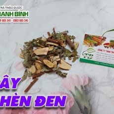 Cây phèn đen [Hình ảnh, công dụng, cách dùng] Mua ở đâu chất lượng tốt nhất?