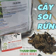 Mua bán cây sói rừng tại quận 4 giúp điều trị viêm phế quản uy tín nhất