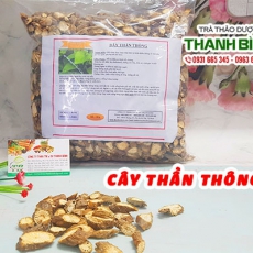 Mua bán cây thần thông tại TP.HCM uy tín chất lượng tốt nhất