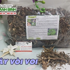 Mua bán cây vòi voi ở quận Thủ Đức có tác dụng trị viêm da cơ địa an toàn hiệu quả nhất