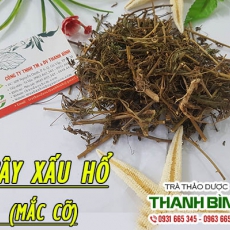 Cây xấu hổ [Hình ảnh, công dụng, cách dùng] Mua ở đâu chất lượng tốt nhất???