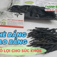 Mua bán chè đắng Cao Bằng ở quận Thủ Đức có tác dụng bảo vệ gan an toàn hiệu quả nhất