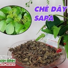 Mua bán chè dây Sapa ở huyện Củ Chi hỗ trợ trị viêm loét dạ dày an toàn hiệu quả nhất