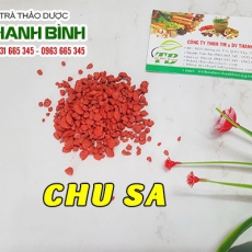 Chu sa [Hình ảnh, công dụng, cách dùng] Mua ở đâu chất lượng tốt nhất???