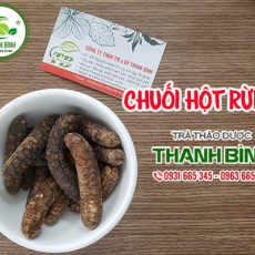 Chuối hột rừng [Hình ảnh, công dụng, cách dùng] Mua ở đâu chất lượng tốt nhất?