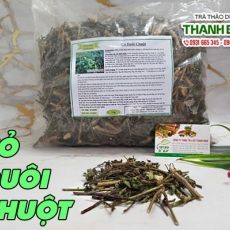 Mua bán cỏ đuôi chuột ở quận Tân Bình giúp trị sỏi thận tốt nhất