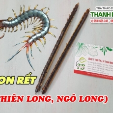 Con rết [Hình ảnh, công dụng, cách dùng] Mua ở đâu chất lượng tốt nhất???
