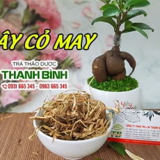 Cây cỏ may [Hình ảnh, công dụng, cách dùng] Mua ở đâu chất lượng tốt nhất???