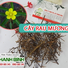 Cây rau mương [Hình ảnh, công dụng, cách dùng] Mua ở đâu chất lượng tốt nhất?