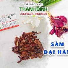 Sâm đại hành [Hình ảnh, công dụng, cách dùng] Mua ở đâu chất lượng tốt nhất?
