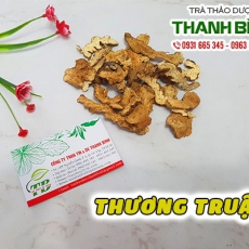 Thương truật [Hình ảnh, công dụng, cách dùng] Mua ở đâu chất lượng tốt nhất?