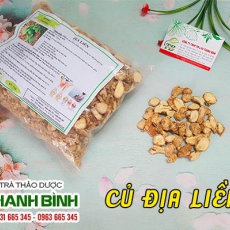 Công dụng củ địa liền trong điều trị đau đau nhức xương khớp