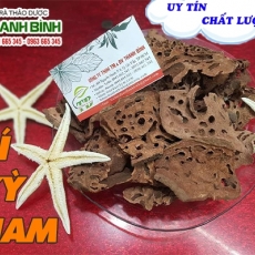Công dụng của bí kỳ nam trong điều trị đau bụng, khó tiêu hiệu quả nhất