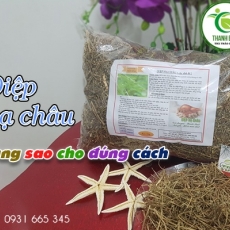 Công dụng của diệp hạ châu trong chữa trị sốt rét hiệu quả nhất