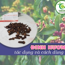 Công dụng của đinh hương trong chữa trị phong thấp hiệu quả nhất