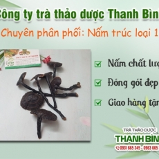 Công dụng của nấm trúc trong chữa trị tiểu đường hiệu quả nhất