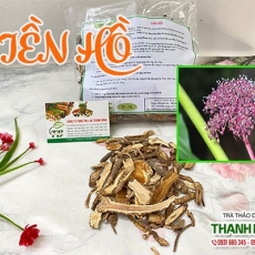 Công dụng của tiền hồ trong điều trị xuyễn hiệu quả nhất