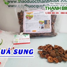 Công dụng quả sung trong điều trị ung thư hiệu quả nhất