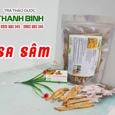Công dụng sa sâm trong điều trị viêm phế quản mãn tính