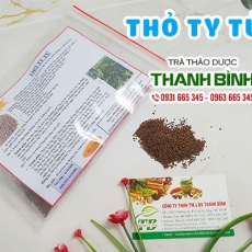 Công dụng thỏ ty tử trong điều trị yếu sinh lý liệt dương