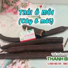 Công dụng trái ô môi (cây ô môi) trong điều trị đau đau nhức xương khớp